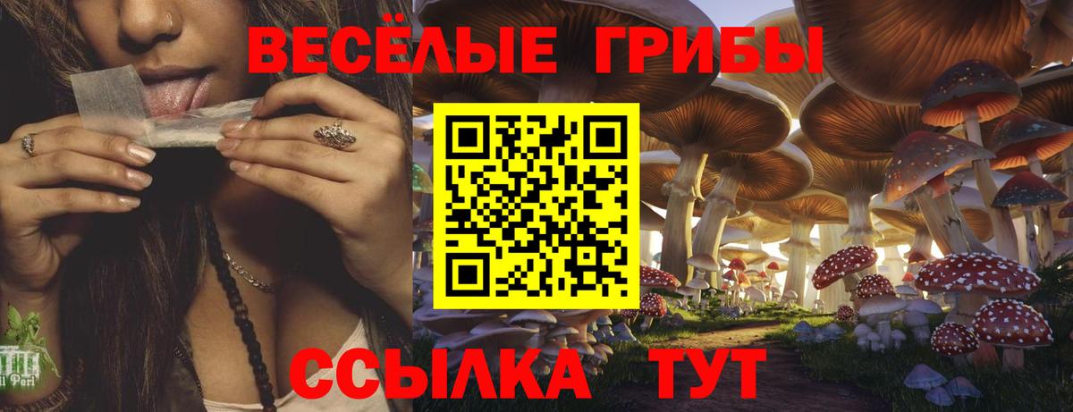 Батайск  Галлюциногенные грибы мицелий  Псилоцибиновые грибы Magic Shrooms  Вход с VPN 