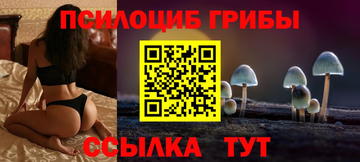 Псилоцибиновые грибы Psilocybe Батайск